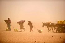 COP27: Испания и Сенегал учредили Международный альянс по устойчивости к засухе