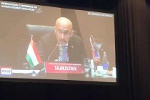 Ардашер Кодири: «Мир и солидарность в Афганистане являются важной основой стабильности и благополучия азиатского региона»