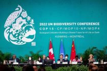 Историческое соглашение принято на экологическом саммите ООН