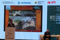 В Ташкенте рассмотрено законодательство о недропользовании и развитии горно-геологического комплекса Таджикистана