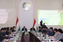 Представлена «Стратегия развития «зелёной экономики» в Республике Таджикистан на 2023-2037 годы»