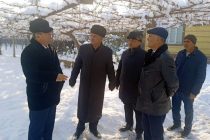 Заместитель Премьер-министра Таджикистана Сулаймон Зиёзода ознакомился с деятельностью земледельцев города Турсунзаде