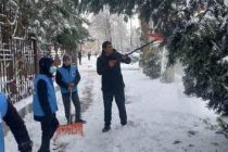 ФОТОФАКТ. Волонтёры очистили от снега деревья и тротуары в районе Исмоили Сомони столицы