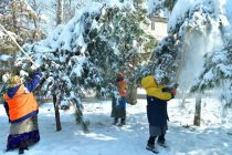 ФОТОФАКТ. Улицы и проспекты города Душанбе очищаются от снега