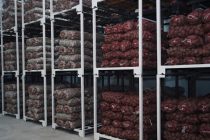 На складах и в холодильных камерах Согдийской области в необходимом объёме зарезервирована сельскохозяйственная продукция