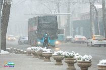 О ПОГОДЕ: сегодня в Душанбе облачно, дождь и  снег