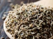 Препарат из семян сельдерея на 70% повышает шанс на выздоровление при инсульте