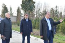 Лидер нации Эмомали Рахмон в Душанбе принял участие в кампании по посадке саженцев и церемонии создания нового сада