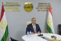 Представитель Таджикистана в виртуальном формате принял участие в шестом заседании министров сельского хозяйства Центральной Азии