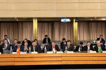 Представитель Таджикистана принял участие в конференции высокого уровня государств Центральной Азии – Европейского союза
