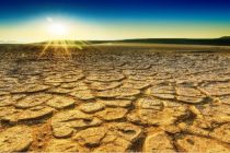 Китайские учёные прогнозируют дальнейшее усиление сельскохозяйственной засухи на юге Центральной Азии