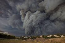Климатологи выяснили, сколько выбросов СО2 пришлось на лесные пожары в 2021 году