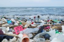 Количество пластика в Мировом океане достигло более 171 трлн кусков