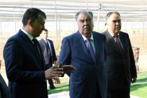 Президент Республики Таджикистан Эмомали Рахмон в Зафарабадском районе открыл рыбоводческое хозяйство