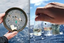 НАУКА. В Южной Корее создали систему быстрого обнаружения микропластика в пробах воды