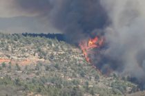 1500 человек эвакуированы из-за лесных пожаров в Испании