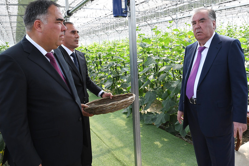 Президент Республики Таджикистан Эмомали Рахмон в Бободжон Гафуровском районе ознакомился с выращиванием овощей