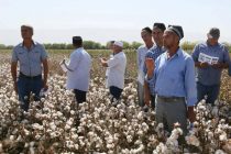 «Жэньминь жибао»: «Сельскохозяйственное сотрудничество между КНР и Таджикистаном осуществляется на просторах надежды»