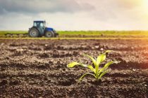 НАУКА. Ученые нашли способ улучшить плодородие почвы