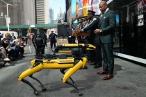 Полиция Нью-Йорка начала использовать роботов для борьбы с преступностью