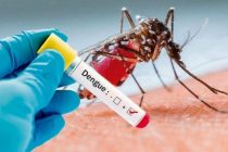Число жертв лихорадки денге в Бангладеш превысило 1600 человек