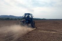 Сельскохозяйственный колледж Матчинского района планирует засеять хлопчатником более 60 га земли