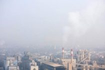В Европейском союзе более 1200 детей и подростков ежегодно гибнут из-за загрязнения воздуха