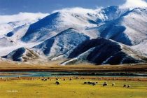 Гуманитарный обмен между Китаем и странами Центральной Азии дал результаты