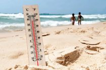 Рекордные температуры в ближайшие пять лет прогнозируют эксперты