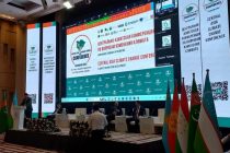 На конференции в Душанбе делегации Центральной Азии обсудят выполнение обязательств Парижского соглашения по изменению климата
