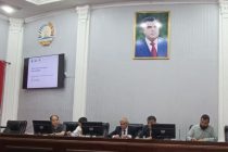 В Национальной академии наук Таджикистана проведена научно-практическая консультация по основным путям расселения древних людей в Центральной Азии