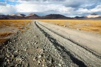 Аномальная жара охватила запад Монголии