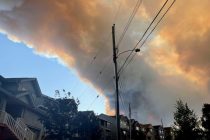 Более 16 тысяч человек эвакуировано на востоке Канады из-за сильных лесных пожаров