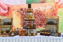 Президент Республики Таджикистан указал на низкие показатели экспорта мёда