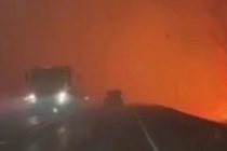 Площадь пожара в лесничестве в Казахстане увеличилась до 30 тыс. га