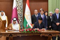 Таджикистан и Катар расширяют сотрудничество в области охраны окружающей среды, особенно разведения соколов