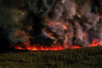 В Канаде зафиксировано 10 новых лесных пожаров