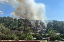 В турецком городе Анталья недалеко от аэропорта вспыхнул лесной пожар