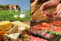 Объем производства пищевых продуктов в Таджикистане увеличился  на  3,3 %