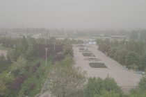До 2 июля в ряде районов Таджикистана сохранится пыльная буря