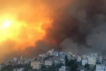 34 человека погибли в результате лесных пожаров в Алжире
