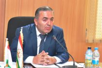 Разработана и утверждена Программа развития павловнии в Республике Таджикистан на 2024-2028 годы
