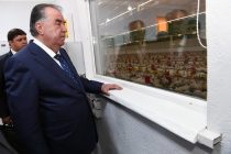 Президент Республики Таджикистан Эмомали Рахмон в Матчинском районе открыл птицеводческое предприятие ООО «Некбахт»