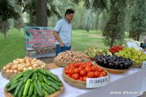 Согдийская область обеспечит отечественные рынки свежей сельхозпродукцией в осенне-зимний период