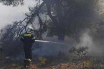Страны Европейского союза мобилизуют воздушную и наземную помощь для ликвидации пожаров в Греции