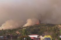 Тысячи людей эвакуировали из-за лесного пожара на Канарских островах