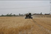 В Деваштичском районе продолжается уборка зерновых