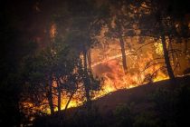 Лесной пожар на северо-востоке Греции стал крупнейшим за 20 лет