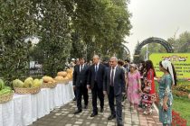 На выставке-продаже сельскохозяйственной продукции жителям Душанбе представлено более 135 тонн продукции