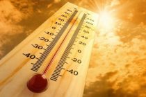 В Европе и США установилась экстремальная жара